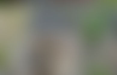 単管立て(2022/5/27)