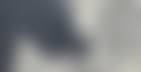 防鳥ネット準備 ステンレス線張り (2023/6/5)