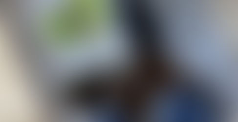 土つくり (2023/10/30)