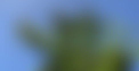 晴天と実り (2023/5/23)