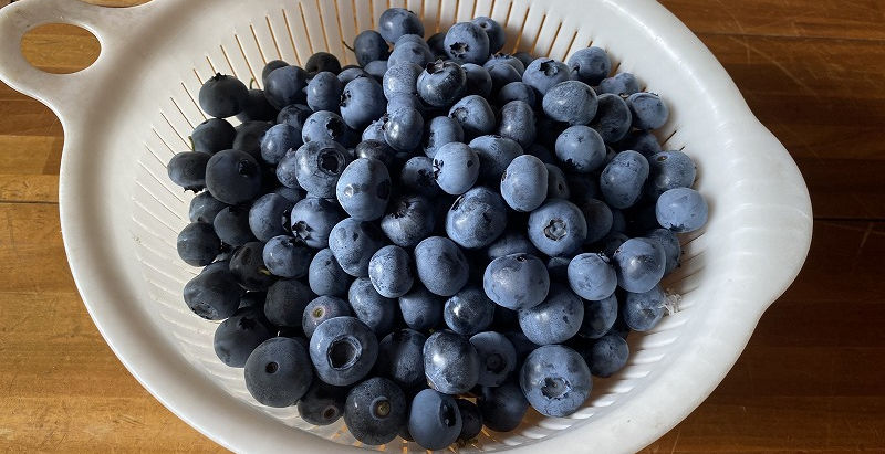 実り♪ (2023/6/18)