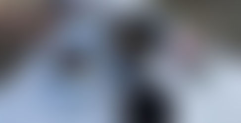 鉢の植え替え:初日(2023/11/17)