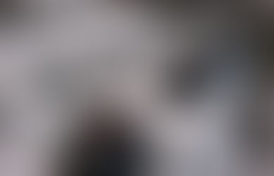 越冬するブルーベリー (2020/12/23)