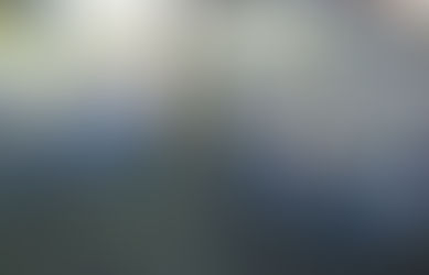 防草シート追加設置(通路) (2021/3/15)