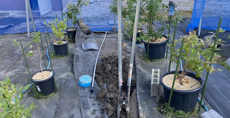 防鳥ネット準備 追加の支柱 (2023/5/31)