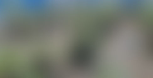 防鳥ネット 完成 (2023/6/某日)