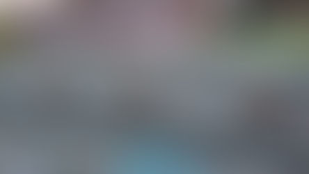 地植え追加作業 (2020/11/26)