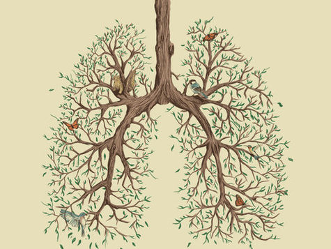 Autumn and the Lungs: Guest Post