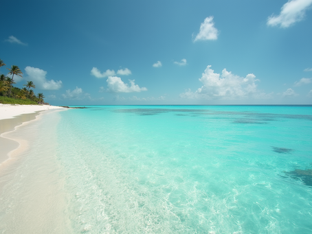Planning the Perfect Trip on an Aruba Fishing Charter