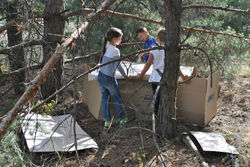 Будуємо халабуду