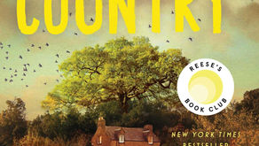 "Broken Country" (Review)