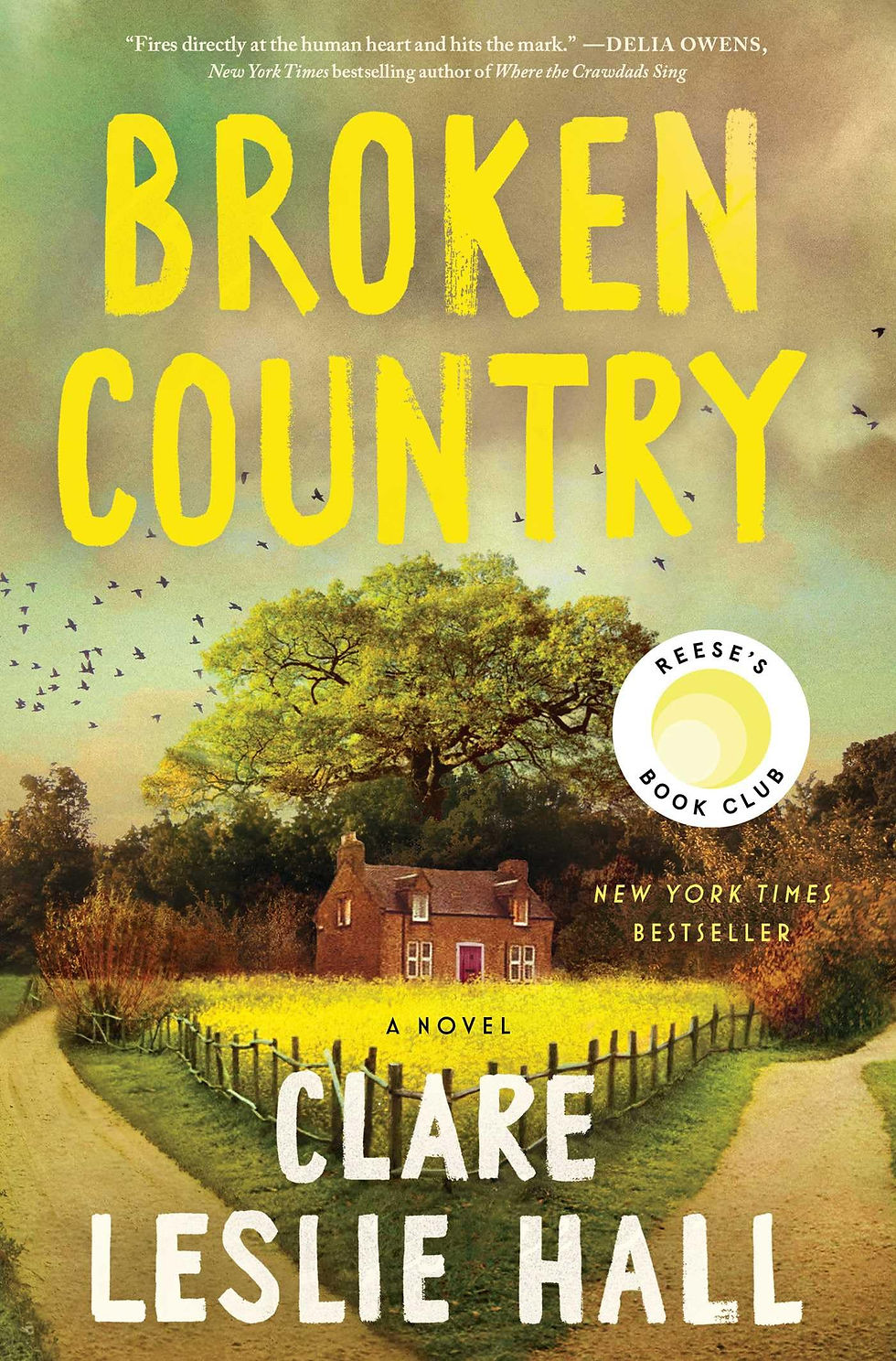 "Broken Country" (Review)