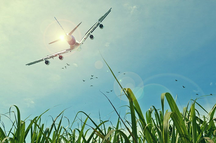 Social media and the attention economy: what airlines need to change in 2026