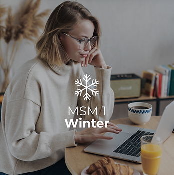 MSM 1 - Winter.png