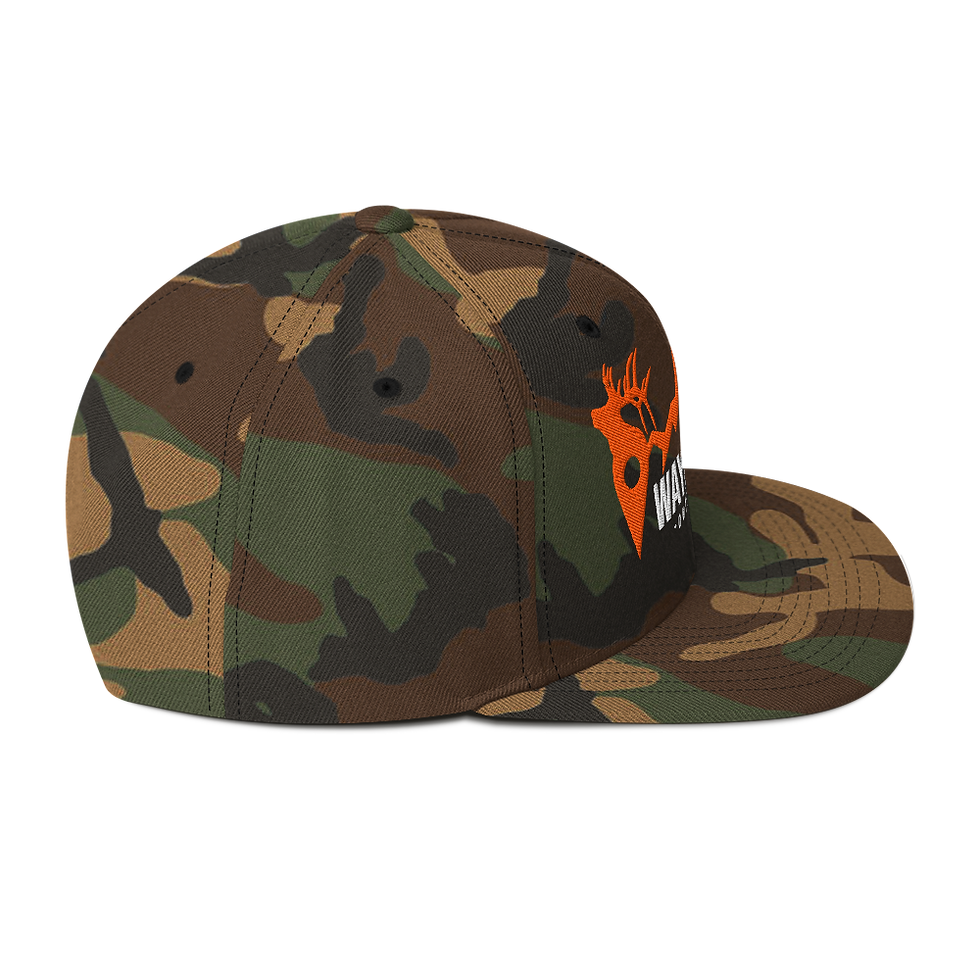 Thumbnail: Waypoint Mountains Snapback Hat