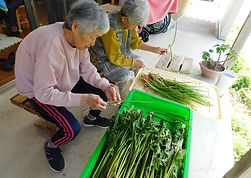 yasai-jyunbi_result.jpg