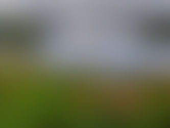 En ”innvandrers” skjønnhetsbeskrivelse