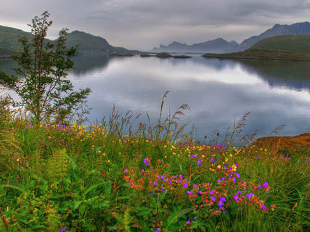 En ”innvandrers” skjønnhetsbeskrivelse