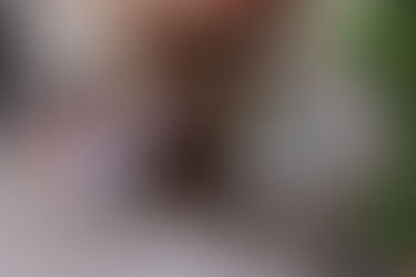 Vence: Paradiset innenfor den gamle bymuren