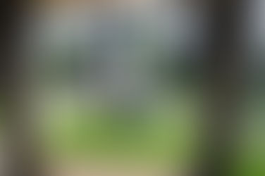 Vrådal gir oss opplevelser utenfor allfarvei