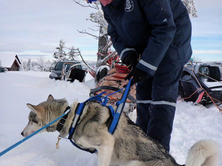 Den store sledereisen... (eller veien dit, og tilbake)