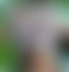 Bli med: Amazonasjungelen - Surinam - øyhopping i Caribbean