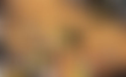 Med bil og egen sjåfør gjennom eksotiske Sør-India