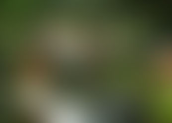 Planten un Blomen - eventyrparken i Hamburg