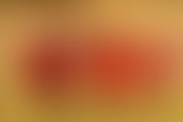 BaseCamp, i Afrika – India – Svalbard – Frankrike