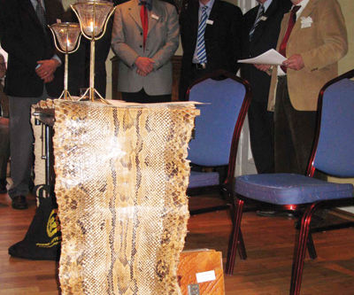 Slangeskinnet vårt på hedersplass