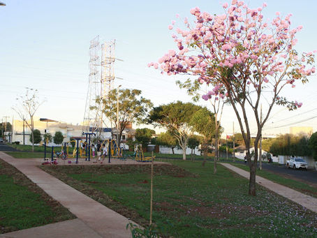 lugares pouco conhecidos para momentos inesquecíveis em uberlândia