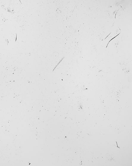 FRAM_Textured-Background-White_01.jpg