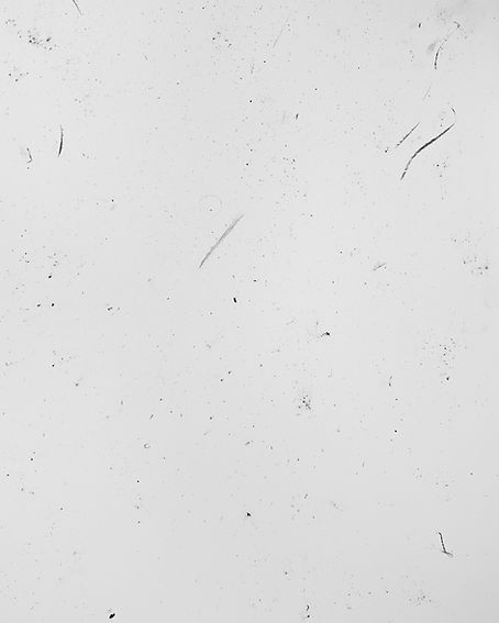 FRAM_Textured-Background-White_01.jpg