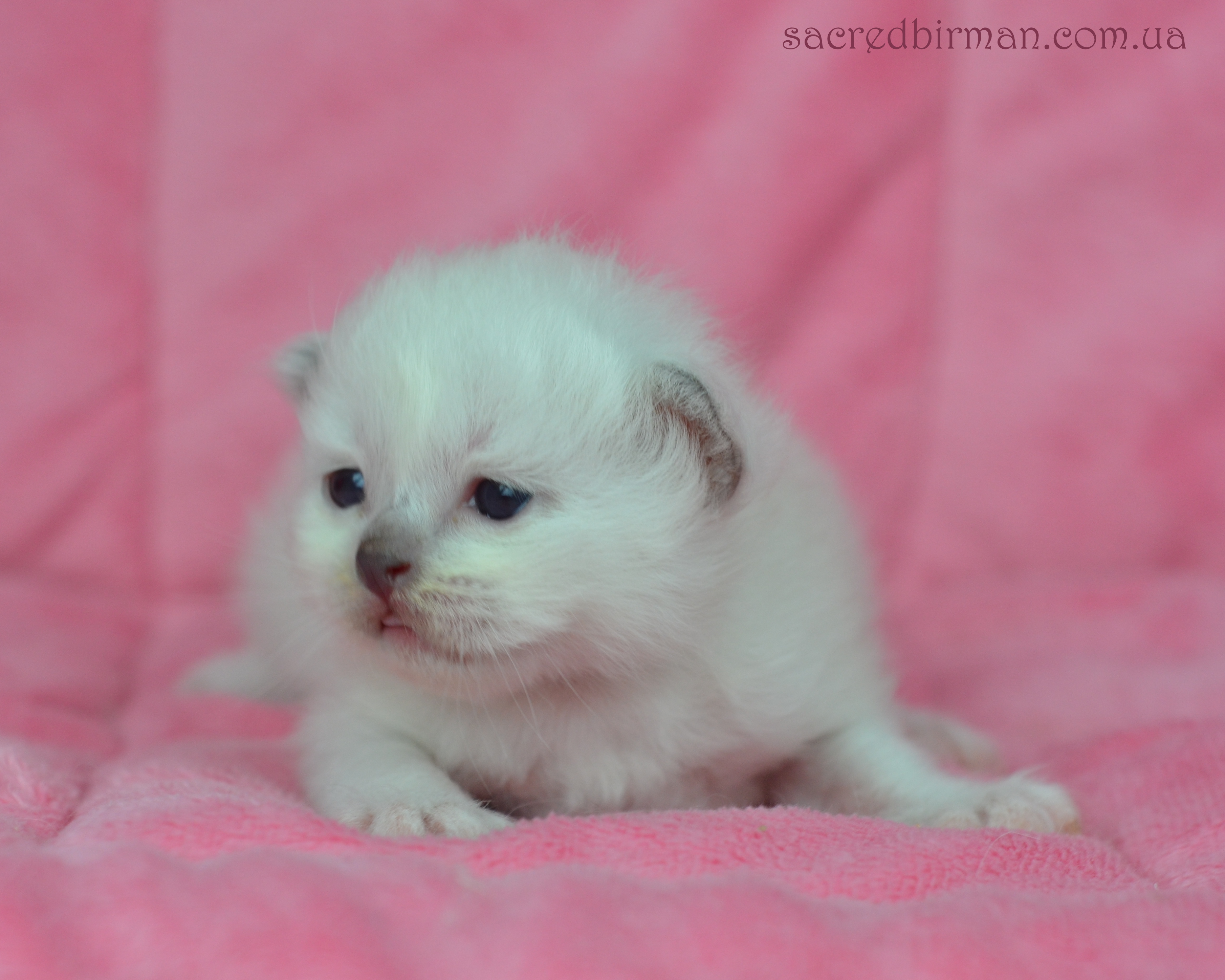 L girl 10 days (10)