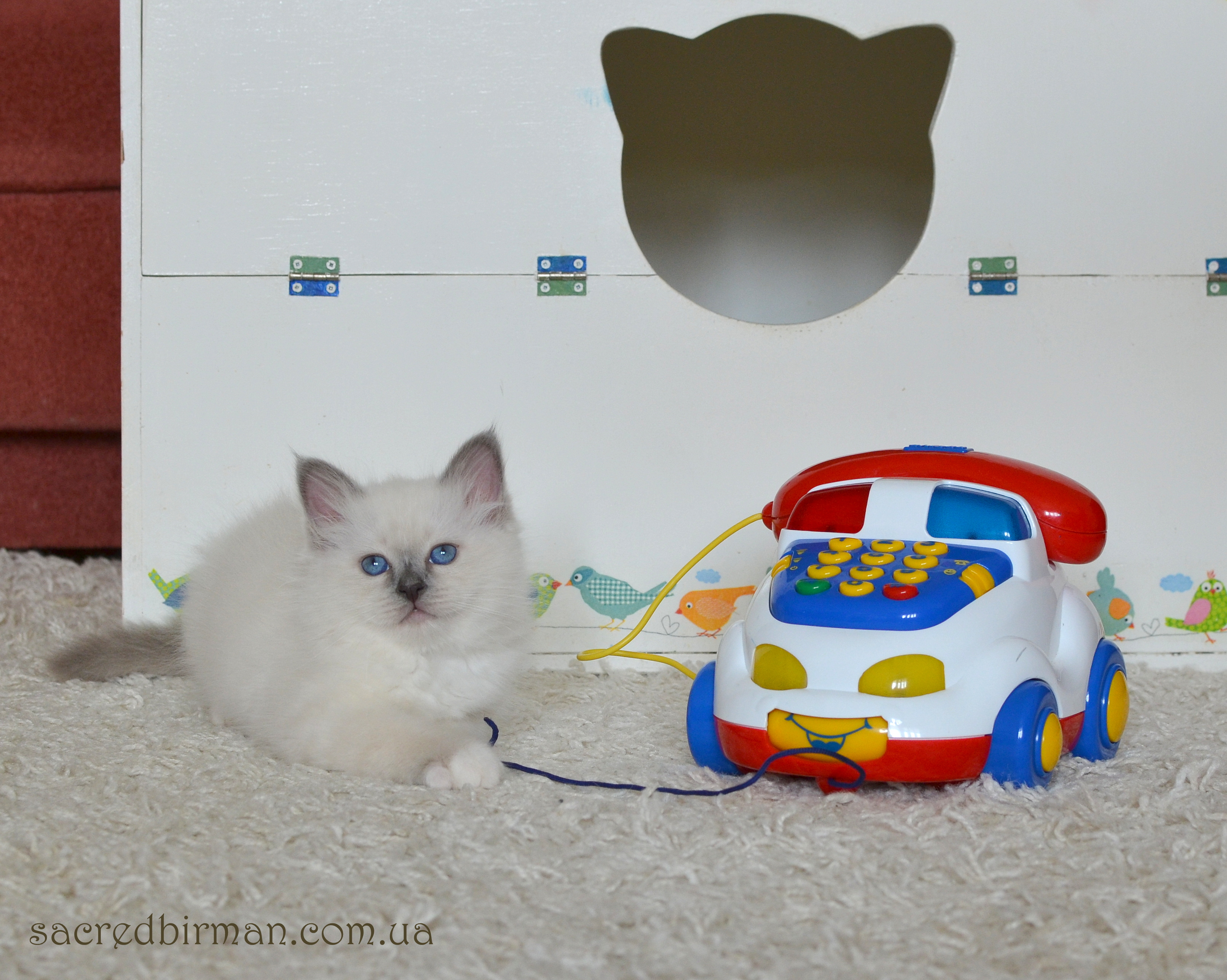 Norbert 2m (4)