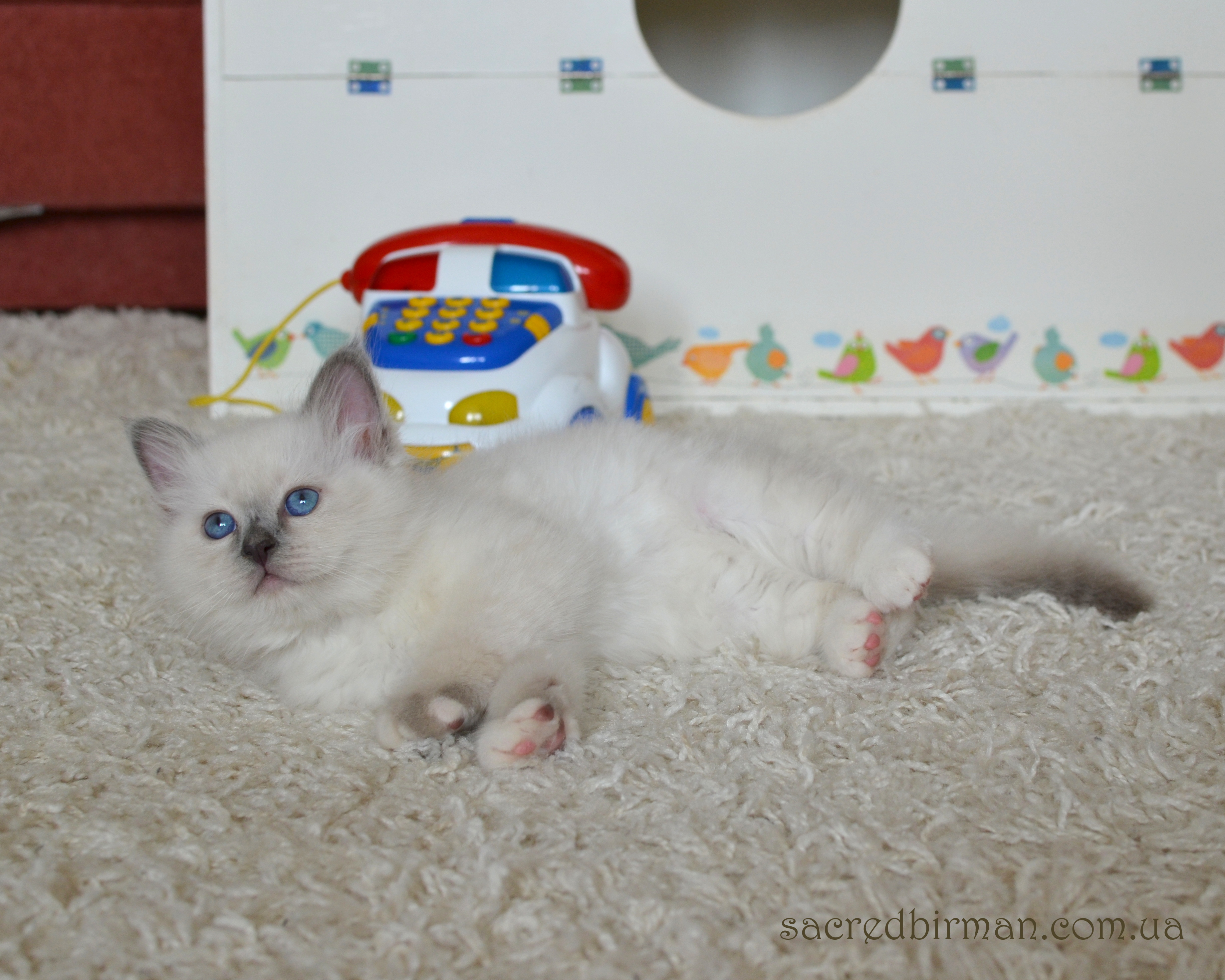 Norbert 2m (3)