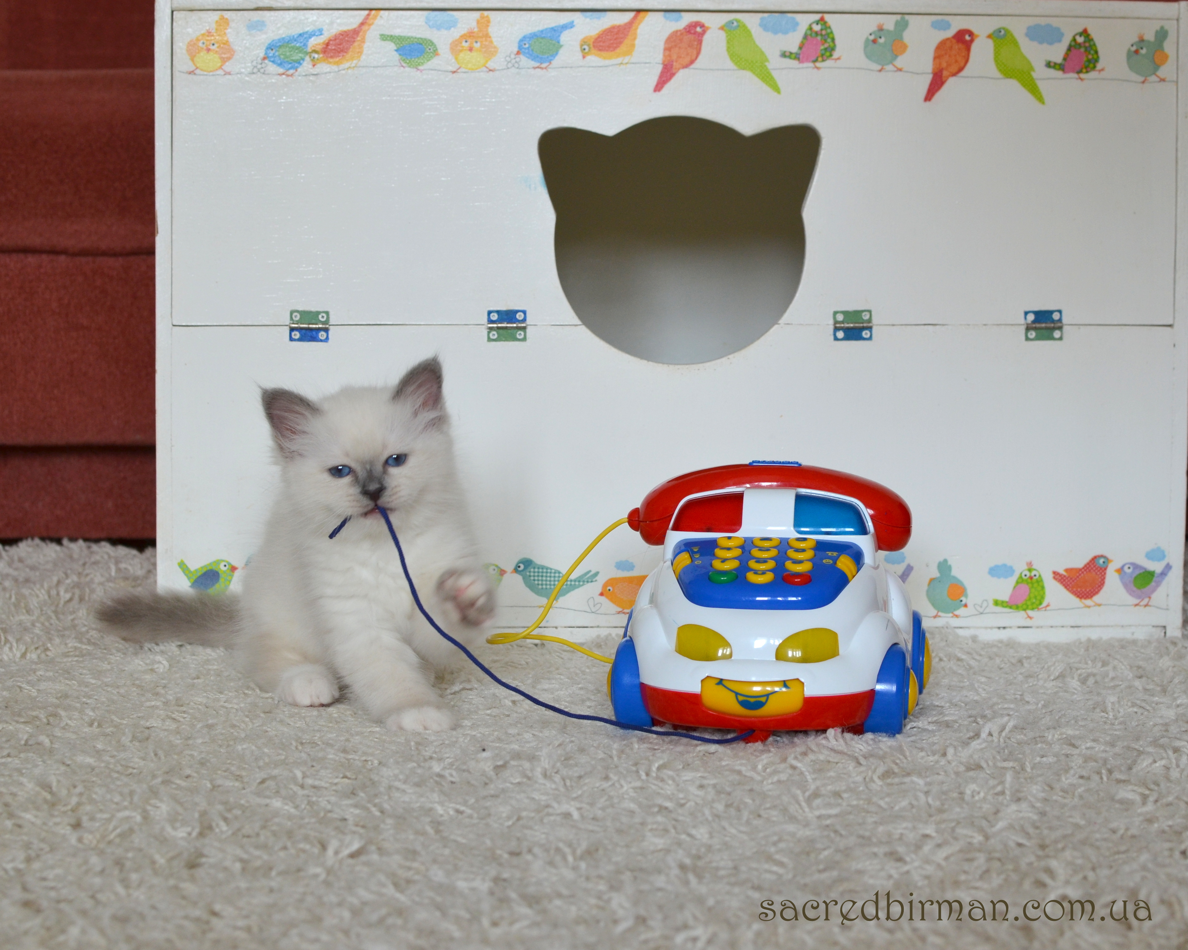 Norbert 2m (6)