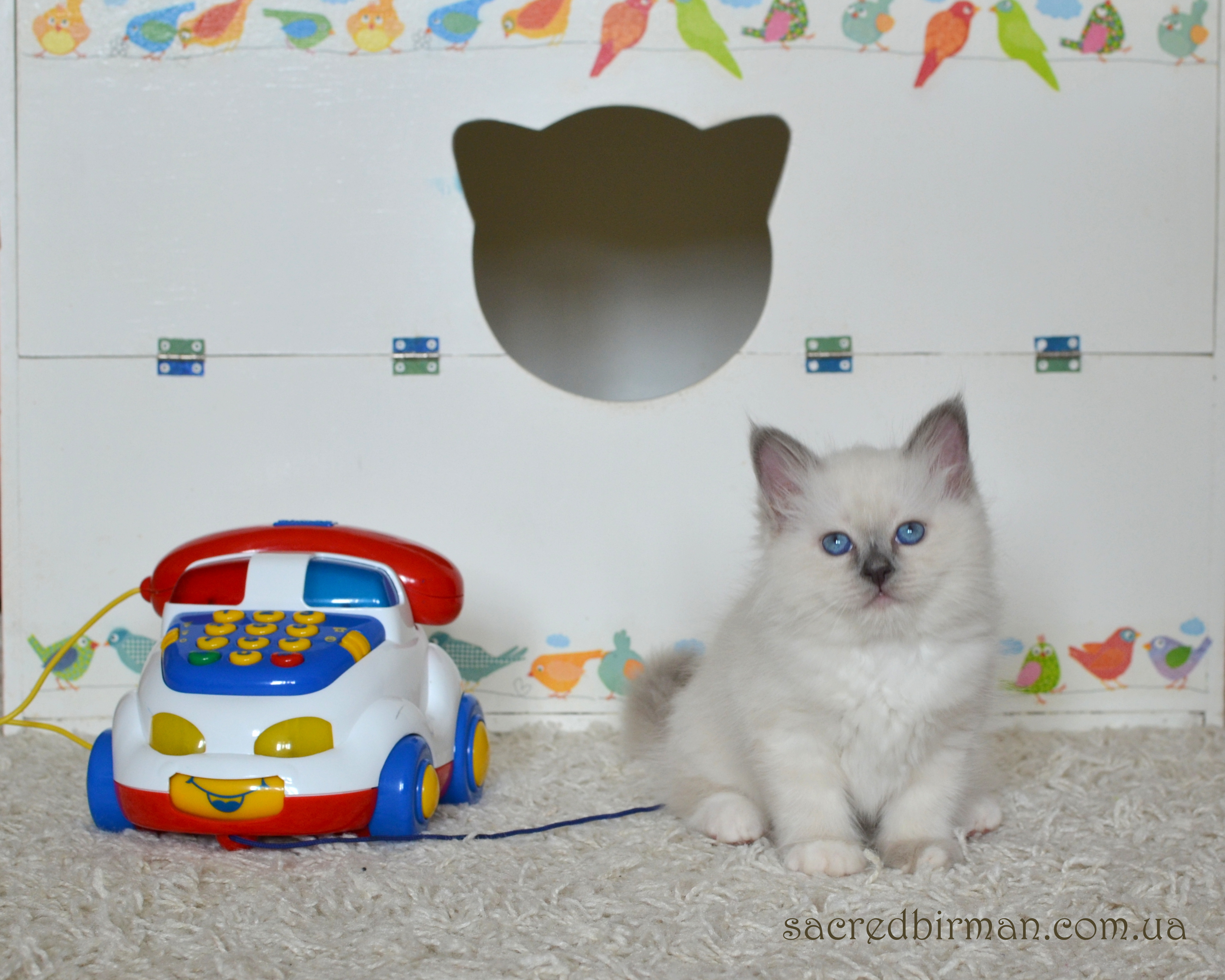 Norbert 2m (2)