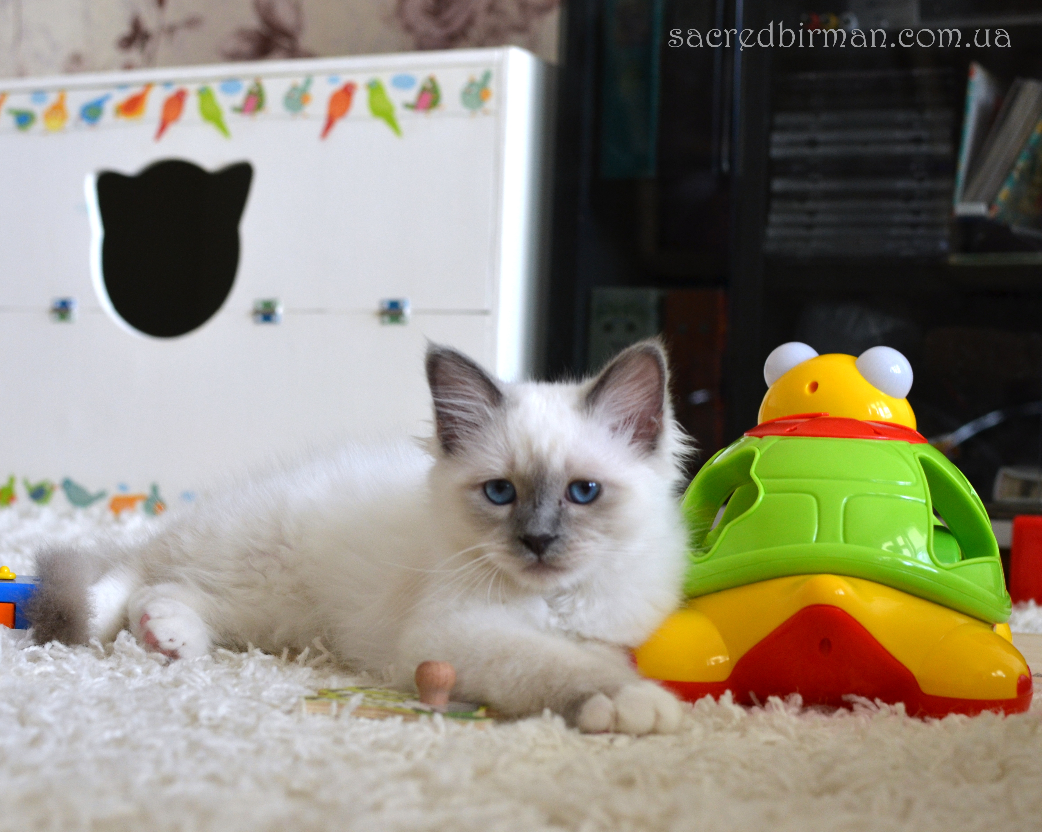 Norbert 3 m (4)