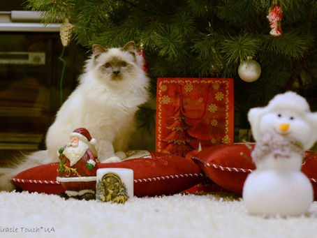 С Новым 2014 Годом и наступающим Рождеством!