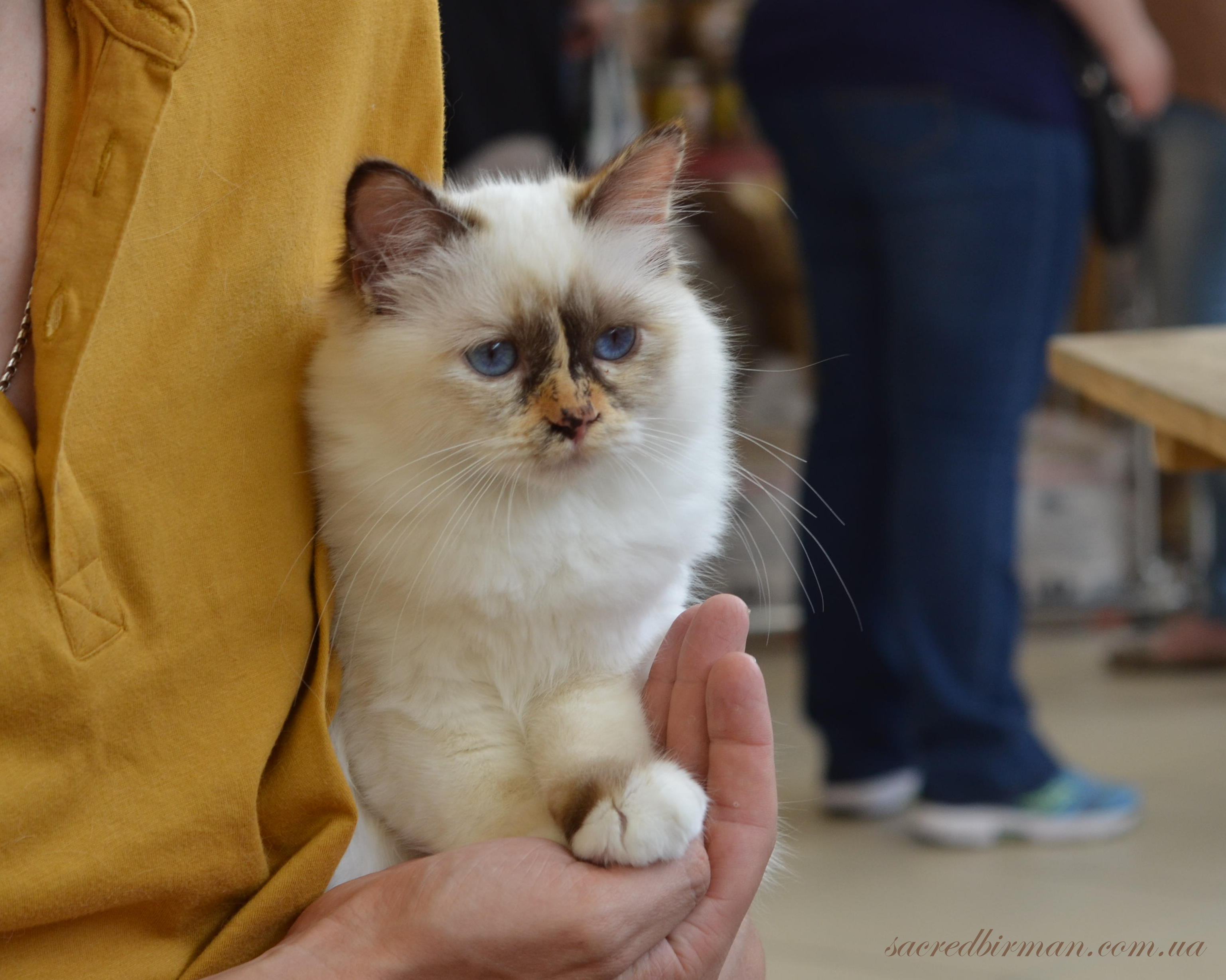 Йоли 5,5 мес.
