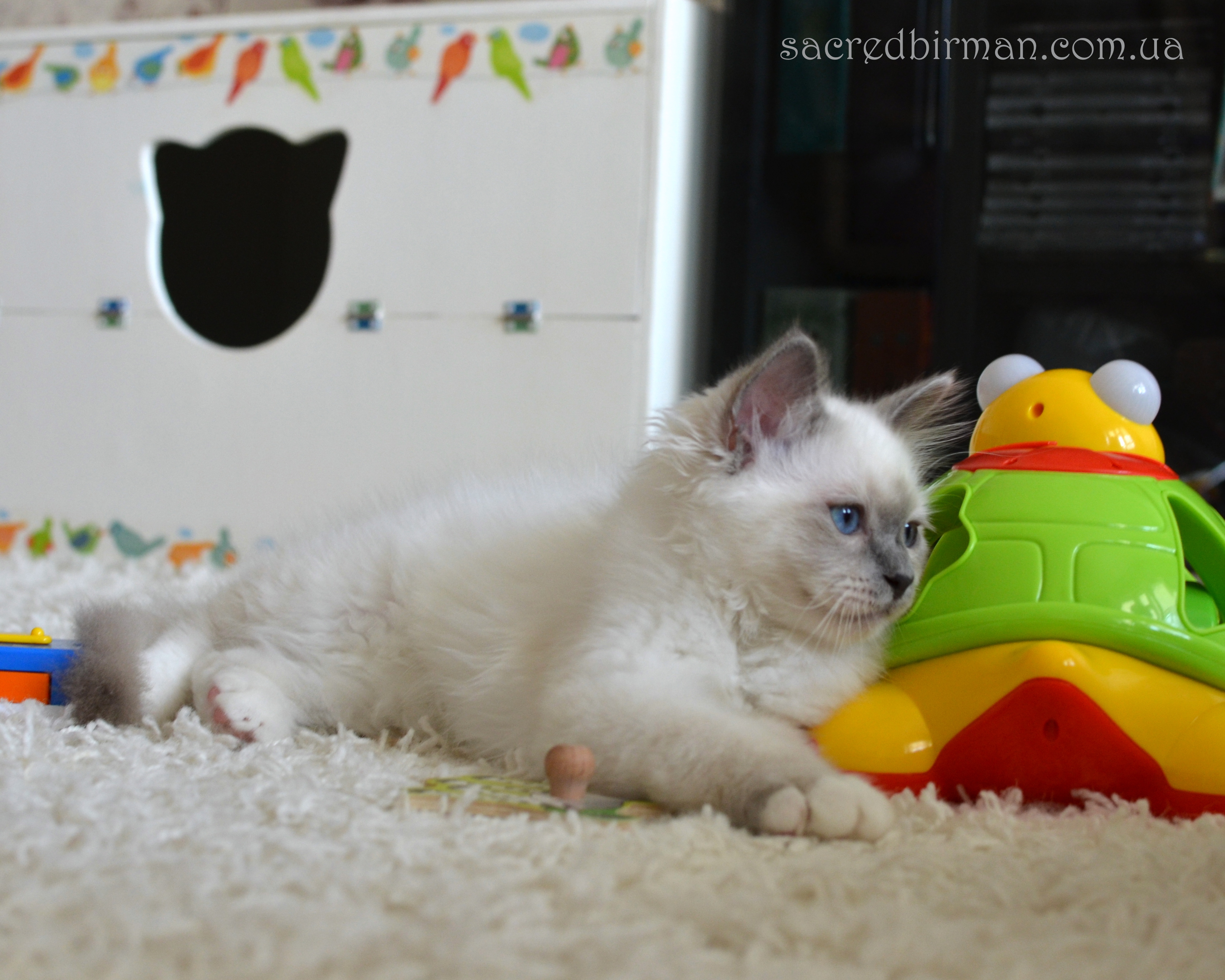 Norbert 3 m (5)