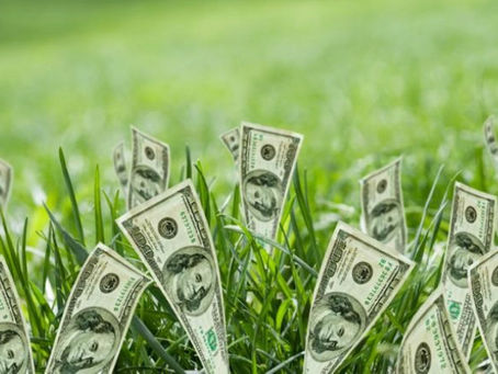 ARTIGO | A falácia do capitalismo verde