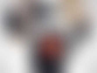 PERFIL DOS ESTÁGIOS DOS ESTUDANTES DE RELAÇÕES INTERNACIONAIS DA PUC-SP