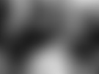 Por que falar em "Terra em Transe"? Cobertura do evento CinePet