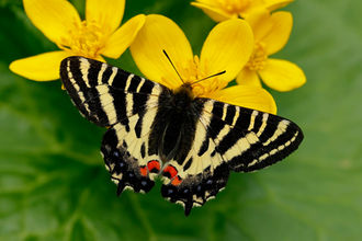 北の国からVol.5(5/5)