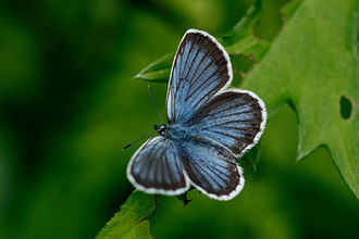 アサマシーズンが始まりました