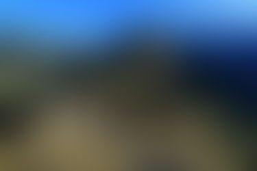 2013年の海外作品をアップしました