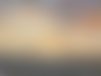 🎍謹賀新年🎍