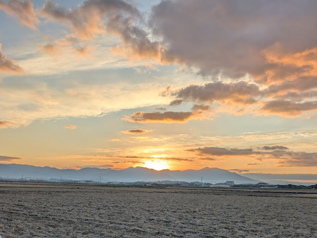🎍謹賀新年🎍